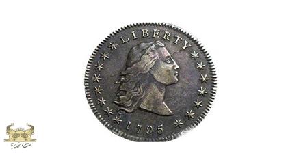 سکه دلار با موهای افشان  (Flowing Hair dollar)