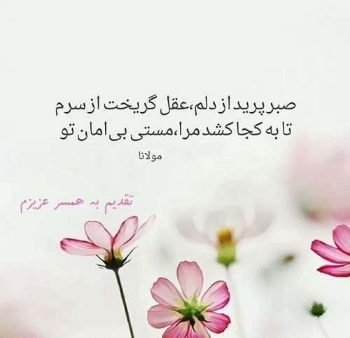 هدیه روز زن