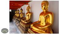 مجسمه بودا از جنس شمش طلا در معبد وات فو